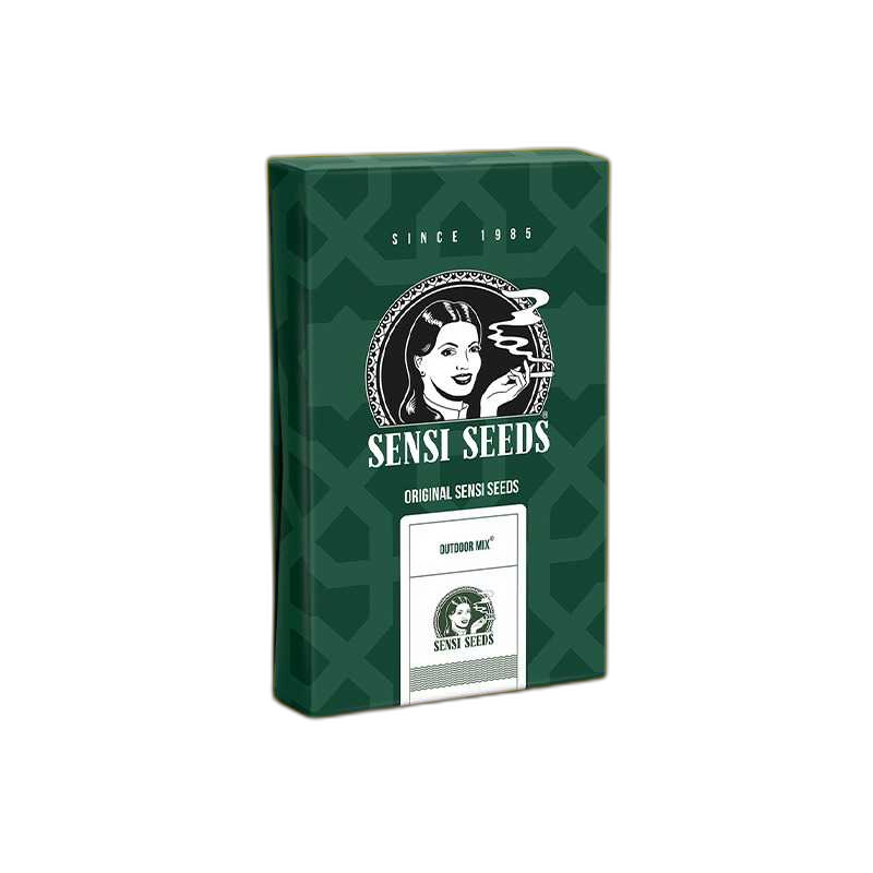 Custom CBD Seed Boxes