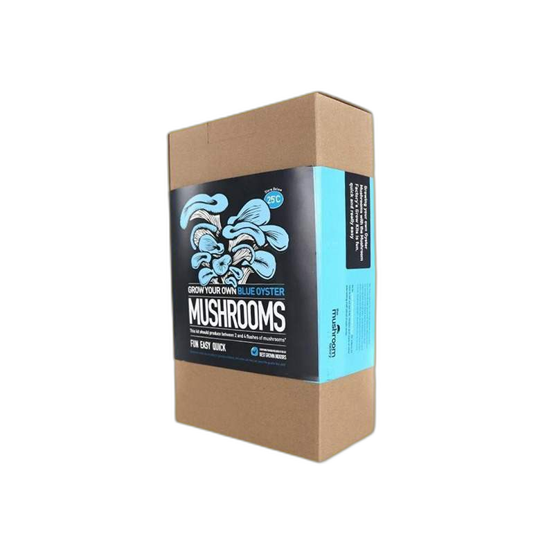 Custom Mushroom Boxes