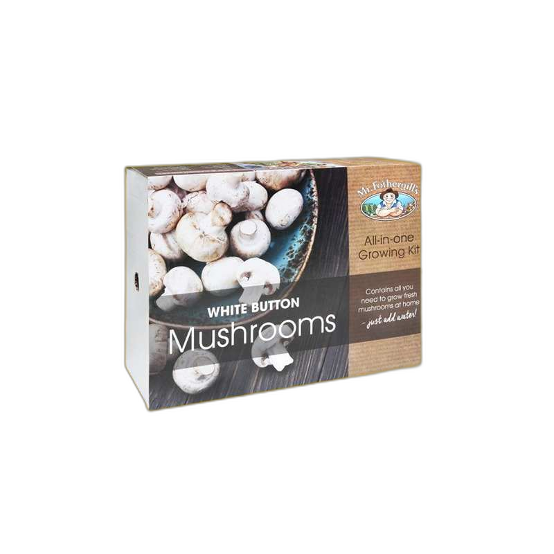 Custom Mushroom Boxes